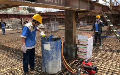 Phun chống mối cho công trình