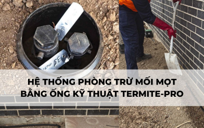Phòng Chống Mối Bằng Đường Ống Termite-Pro Nhập Khẩu Từ Úc